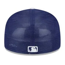 Men's Los Angeles Dodgers New Era Royal 2023 Spring Training 59FIFTY Fitted Hat 9 Men's Los Angeles Dodgers New Era Royal 2023 Spring Training 59FIFTY Fitted Hat -San Diego Padres Caps Sales mens new era royal los angeles dodgers 2023 spring training 59fifty fitted hat ss5 p 4991330pv 4u k9yd5qaegvdqsxegqvahv eudqbre9dh0sratafuod