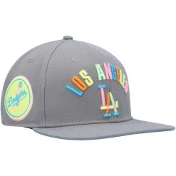 Men's Los Angeles Dodgers Pro Standard Gray Washed Neon Snapback Hat
